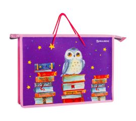 Папки и сумки для тетрадей, уроков труда