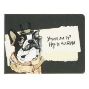 Обложка для студенческого билета ST_52909, пропуска, удостоверения OfficeSpace 