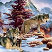 Алмазная мозаика CENTRUM 87114 ВОЛКИ,40*50см,без подрамника,частич.выкладка