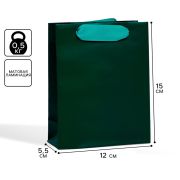 Пакет ламинированный «Изумрудный», S 12*15*5,5 см 7304161
