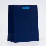 Пакет ламинированный «Синий», MS 18 ? 23 ? 10 см   10320462