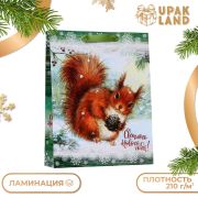 Пакет ламинированный вертикальный 