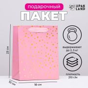 Пакет ламинированный вертикальный 