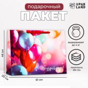 Пакет ламинированный горизонтальный 