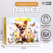 Пакет ламинированный горизонтальный 