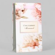 Пакет подарочный ламинированный 