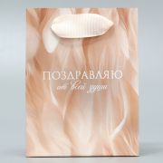 Пакет подарочный ламинированный, упаковка, «Поздравляю», 9 х 12 х 6.5 см 10200579