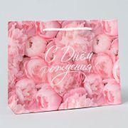 Пакет подарочный ламинированный, упаковка, «С Днём рождения!», MS 23 х 18 х 8 см 10072517