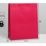 Пакет подарочный ламинированный, упаковка, «Фуксия», L 31 х 40 х 11.5 см 7304198