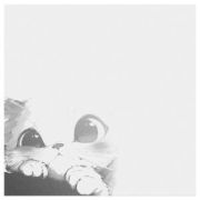 Блок для записей MESHU «Cute Sweet» 8,5*8,5см, 100л., на склейке MS_65020