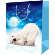 Пакет подарочный ArtSpace 