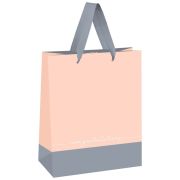 Пакет подарочный MESHU Duotone. Gray-coral  MS_45726 18*23*10см