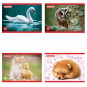 Альбом д/рис-я 20лист. ХАТБЕР А5 103723 Животные