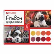 Альбом д/рис-я 32лист. Brauberg 105081 Собачки, гребень