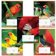 Тетрадь 12 лист. линия BRAUBERG  Райские птицы 104777