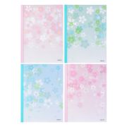 Тетрадь Deli FB540 B5, 40 л, линейка ассорти