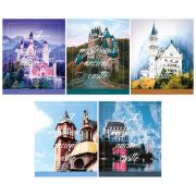 Тетрадь 96лист. клетка ArtSpace Т96к_25005 