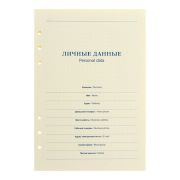 Сменный блок для органайзера А5, 80 листов в клетку, тонированный 