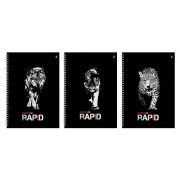 Тетрадь 96лист. А4 клетка спираль АЛЬТ, Rapid 7-96-1122